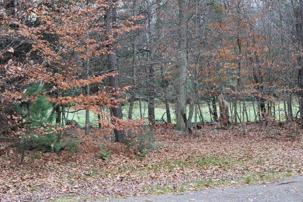 Luxury 4 Bedroom House In Pocono Mountains In Golf Course Near Lake Tobyhanna Екстериор снимка